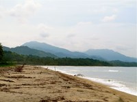 Miles of Secluded Beach for Surfing Costeño Beach Santa Marta Colombia