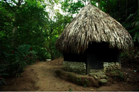 Cabana Hut at Quebrada Valencia Santa Marta Colombia
