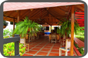 Dibulla - Restaurante Tropical