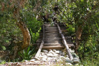 Bridge to Indigenous Village Near Valledupar Colombia